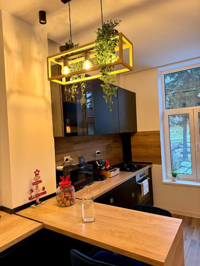 Lv Luxury Apart - One Minute Away From Train Station بْريدال المظهر الخارجي الصورة